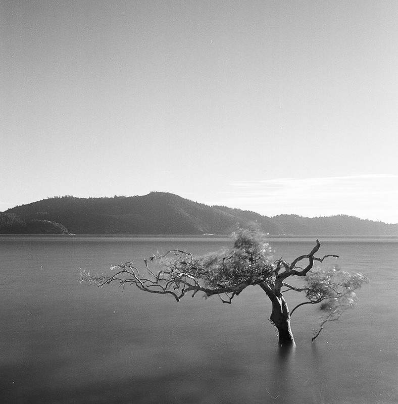 photo.jpg