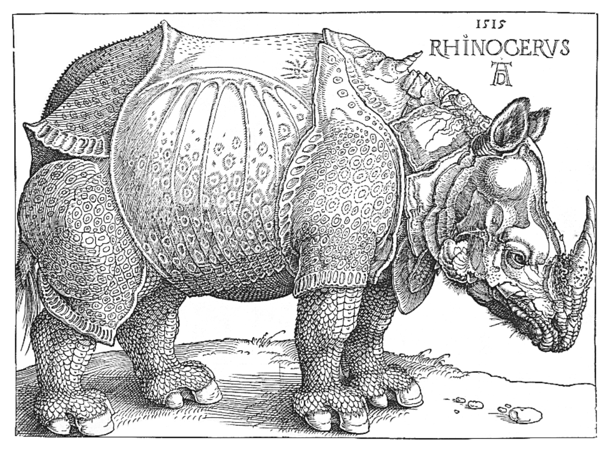 rhino.png